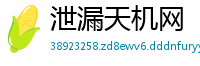泄漏天机网